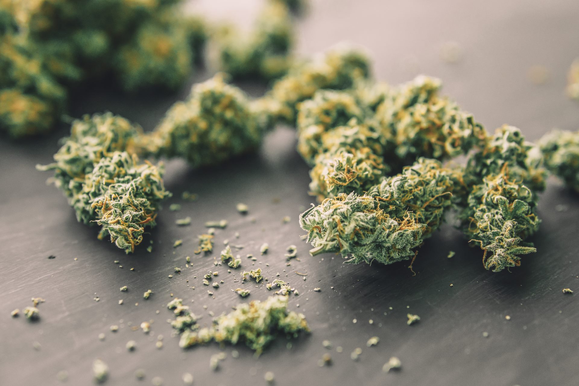 Vente de fleur et résine de CBD à Montpellier Vente de fleur et résine de CBD à Montpellier