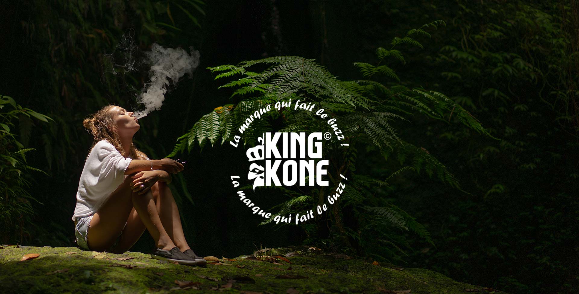 King Kone : Boutique de BDC à Lodève