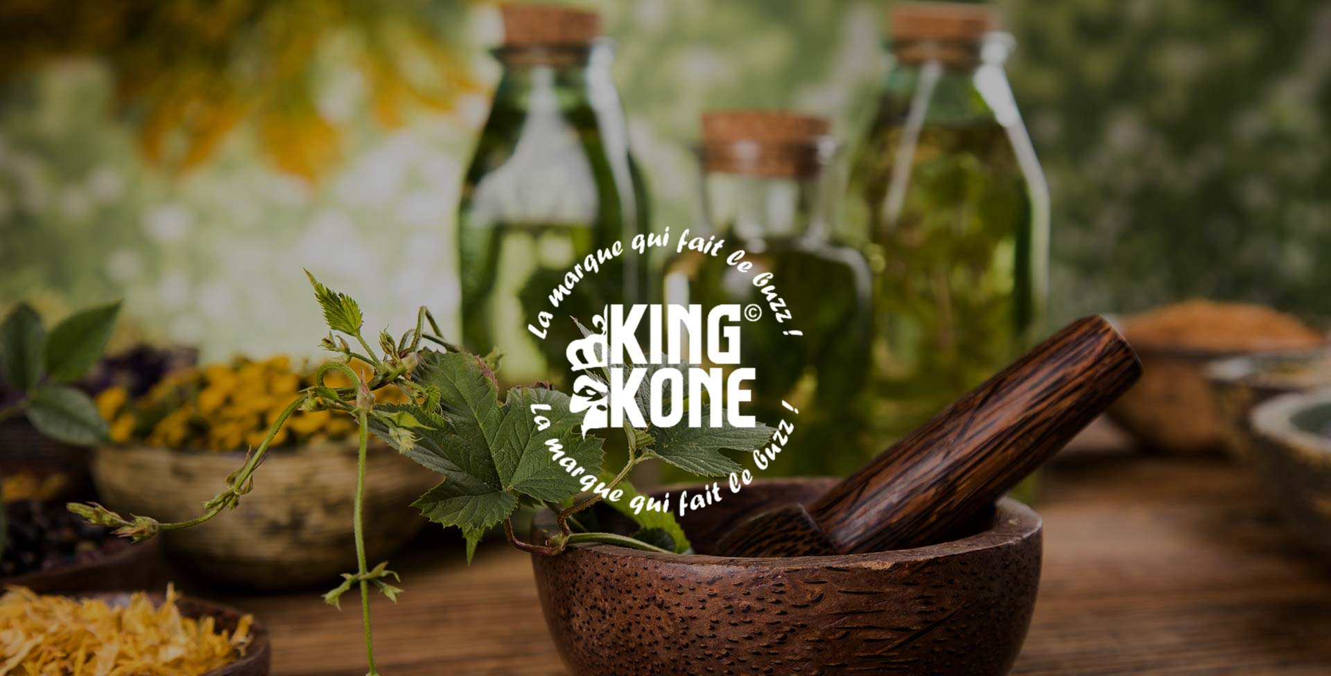 King Kone : Boutique de BDC à Lodève